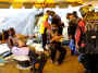 iao2002-g21.jpg (75723 Byte)
