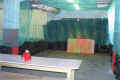 pbo-chrony01.jpg (38676 Byte)